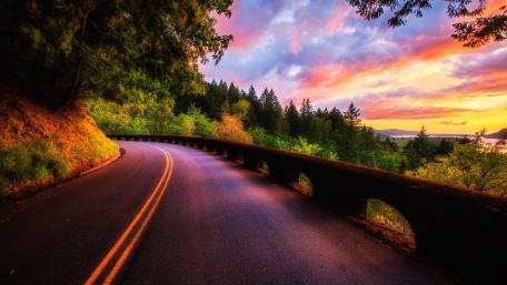 Sunset Drive Through a Forest wallpaper