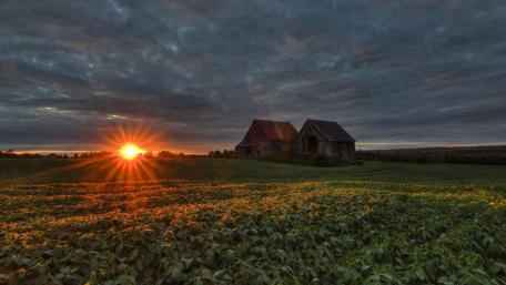 Evening Serenity Over Rustic Fields wallpaper