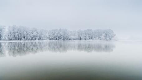 Winter Serenity in Misty Reflections wallpaper
