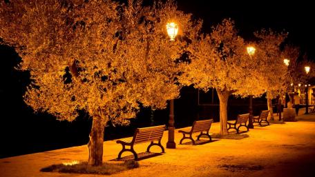 Serene Night in a City Park wallpaper