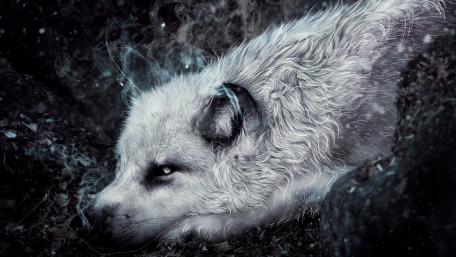 Mystical Arctic Wolf in Enchanted Forest wallpaper