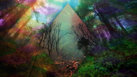Mystical Forest Geometry wallpaper