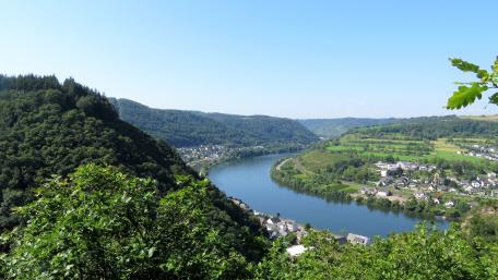 Mosel near Brodenbach wallpaper