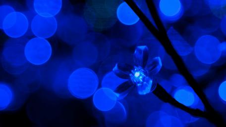 Blue Floral Glow with Bokeh Lights wallpaper