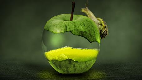 Green Apple Illusion with Snail wallpaper