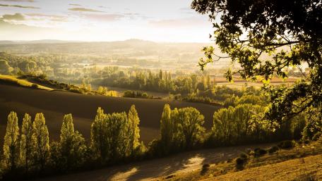 Serene Hilltop View Over Golden Landscape wallpaper