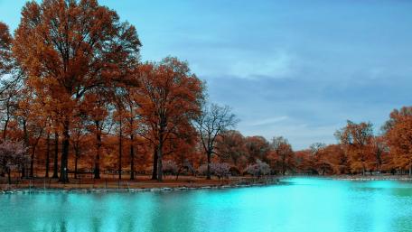 Autumn Serenity by the Tranquil Lake wallpaper