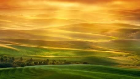 Golden Serenity of Rolling Hills in Morning Light wallpaper