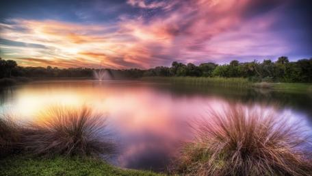 Serene Purple Landscape at Twilight wallpaper
