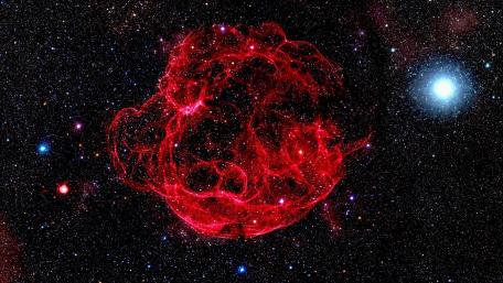 Celestial Splendor in Crimson wallpaper