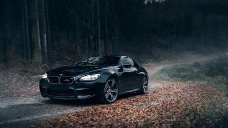 BMW Elegance in Autumn Roads wallpaper