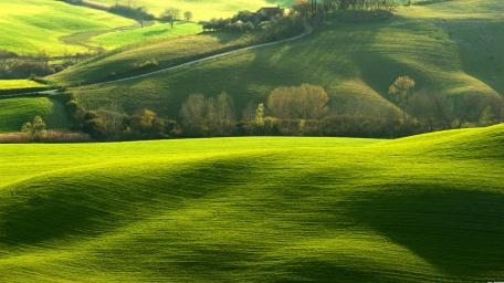 Serene Rolling Green Hillscape wallpaper