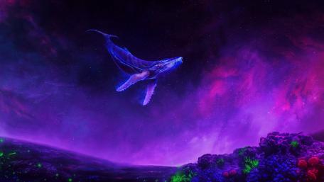Whale of the Cosmic Ocean wallpaper