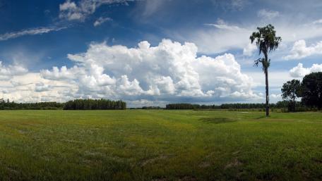 Endless Green Horizons with Cumulus Clouds wallpaper