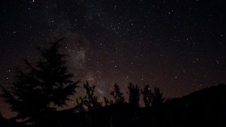 Starry Night Serenity wallpaper
