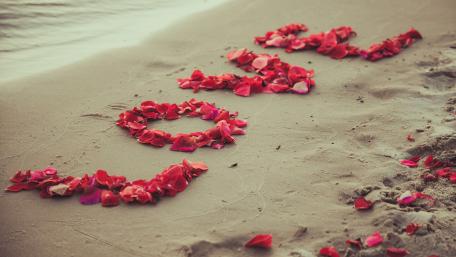 Love on the Beach with Petals in 5K Resolution wallpaper