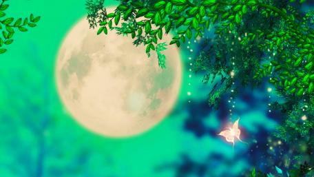 Full Moon Enchantment with Glowing Butterfly Magic wallpaper