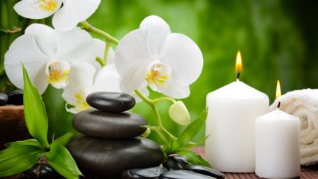 Serene Orchid and Candle Harmony Wallpaper wallpaper