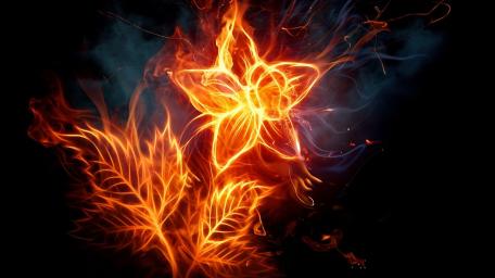 Fiery Floral Essence wallpaper