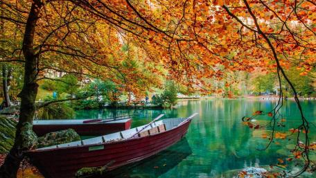 Autumn Serenity on Tranquil Waters wallpaper