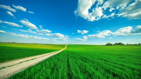 Open Fields and Endless Horizons wallpaper
