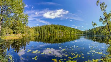Skjennungen Lake wallpaper