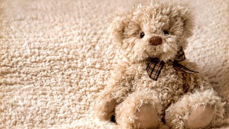 Cozy Teddy Bear on Soft Background wallpaper