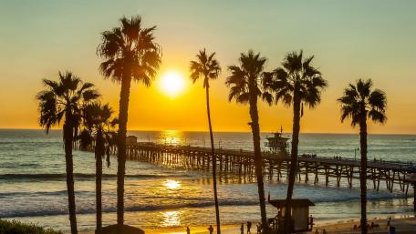 Golden Sunset Over Serene Pier and Palms wallpaper