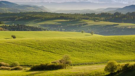 Serene Green Hills Under a Clear Sky wallpaper