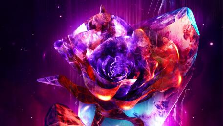 Vibrant Cosmic Rose in Bloom wallpaper