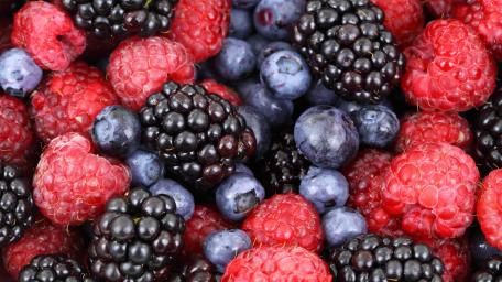 Vibrant Berry Medley Wallpaper wallpaper