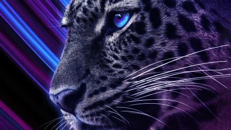 Neon Cheetah with Blue Eye wallpaper