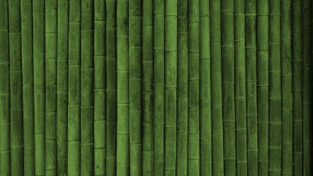 Lush Green Bamboo Texture Wallpaper wallpaper