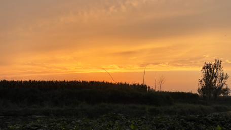 Serene Sunset Overtranquil Landscape wallpaper