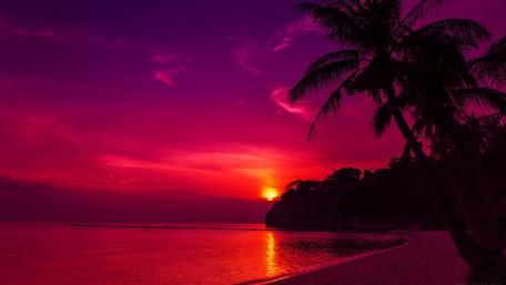 Tropical Sunset Bliss wallpaper