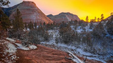 Zion National Park wallpaper