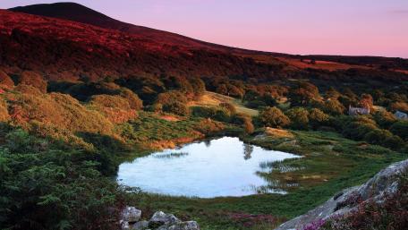 Serene Mountain Reflections in Nature's Embrace wallpaper