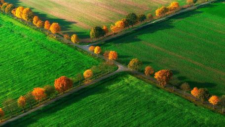 Autumn Colors in Nature's Embrace wallpaper