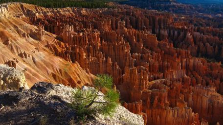 View of Bryce Canyon from Inspiration Point wallpaper