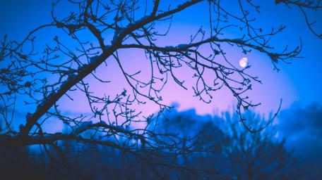 Twilight Serenity in Moonlight wallpaper