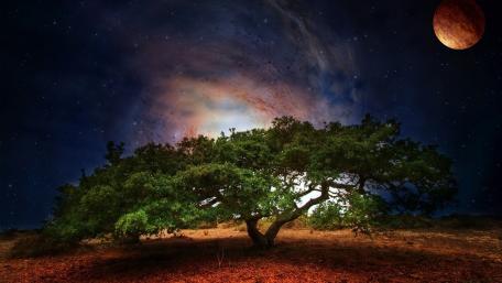 Mystical Moonlit Nightscape with Tree and Galaxy Glow wallpaper