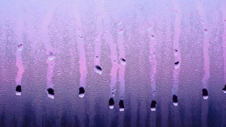 Purple Raindrops on Windowpane Wall Art wallpaper