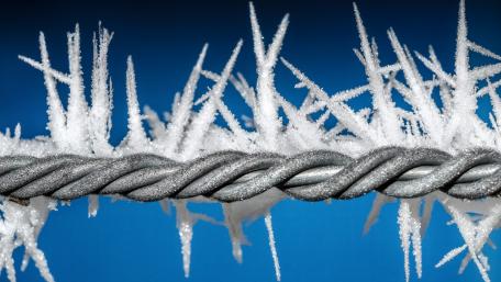 Hoarfrost on wire wallpaper