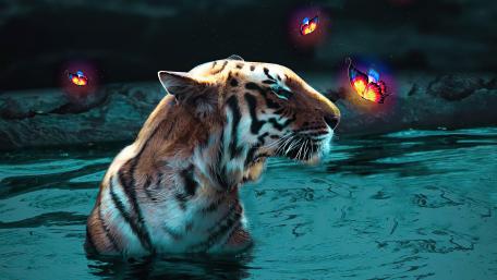 Enchanted Tiger in a Dreamland wallpaper