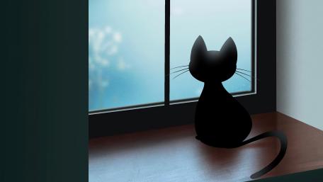 Cat looks out the window wallpaper