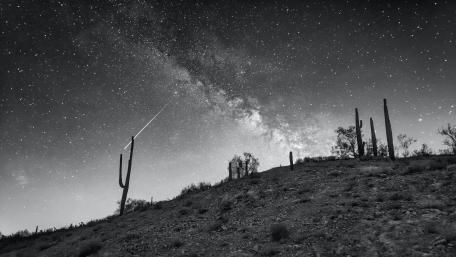 Starlit Desert Serenity in Monochrome wallpaper