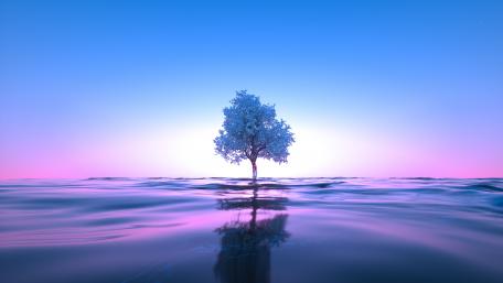 Solitary Tree in Ethereal Waters wallpaper