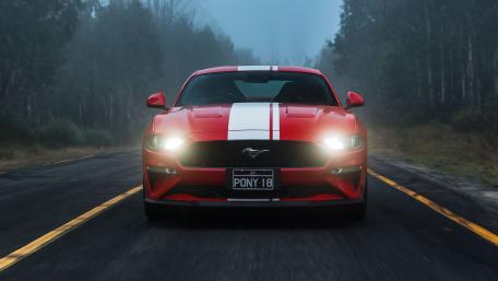 Red Mustang Thrill on Misty Roads wallpaper