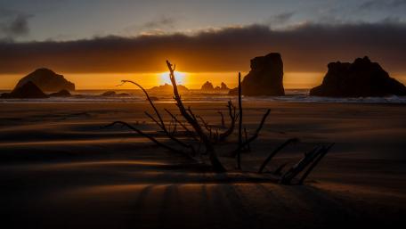 Golden Dusk at the Ocean Shore wallpaper