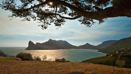 Serenity at the Bay in Nature's Embrace wallpaper